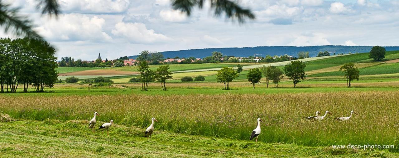 Gite L'Amarante Betschdorf Екстериор снимка